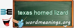 WordMeaning blackboard for texas horned lizard